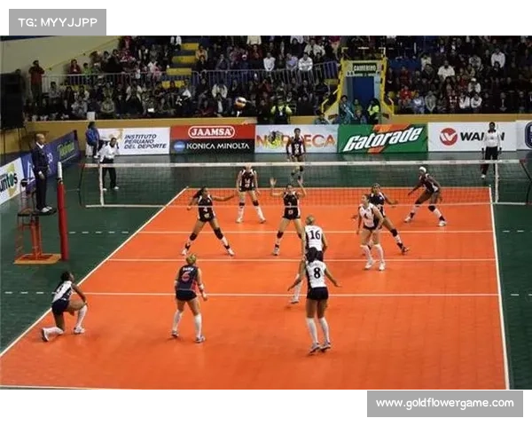 多米尼加男篮美洲杯冲突事件对淘汰赛轮换深度的影响分析